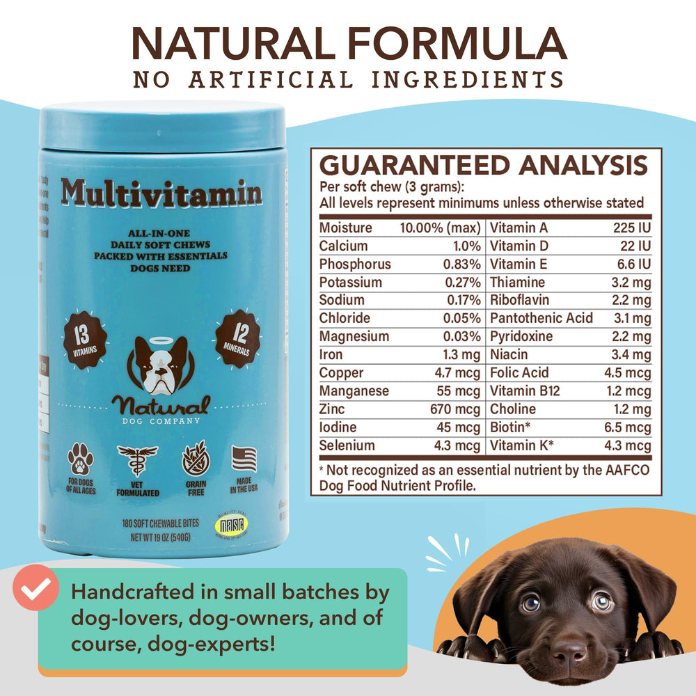 Natural Dog Company 25-in-1 soft chews vet formulated nutrition for total well-being.