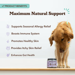 Natural Dog Company chews closeup showing texture and appealing taste for dogs