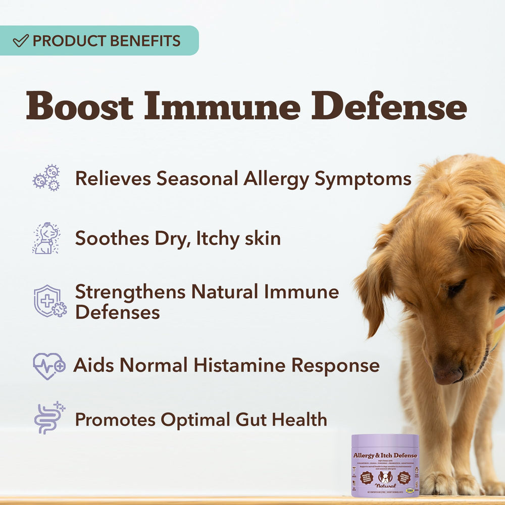 Natural Dog Company allergy-itch-defense-chews taste-test shows dog-friendly flavor