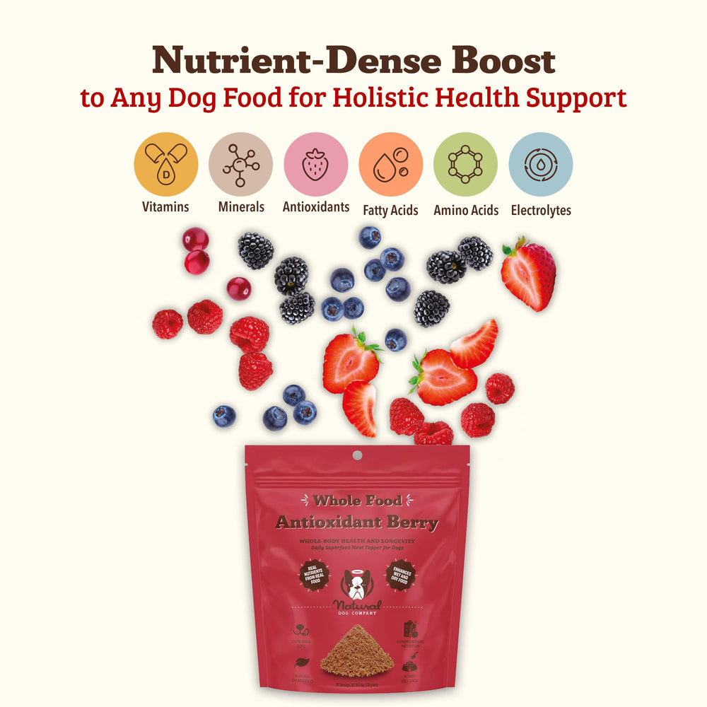 Natural Dog Company Antioxidant Berry Granules in packaging highlighting wholesome ingredients