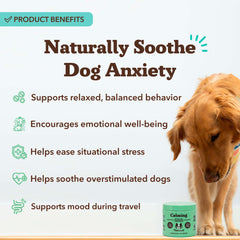 Natural Dog Company Calming Chews on-dog chewing for daily anxiety relief.