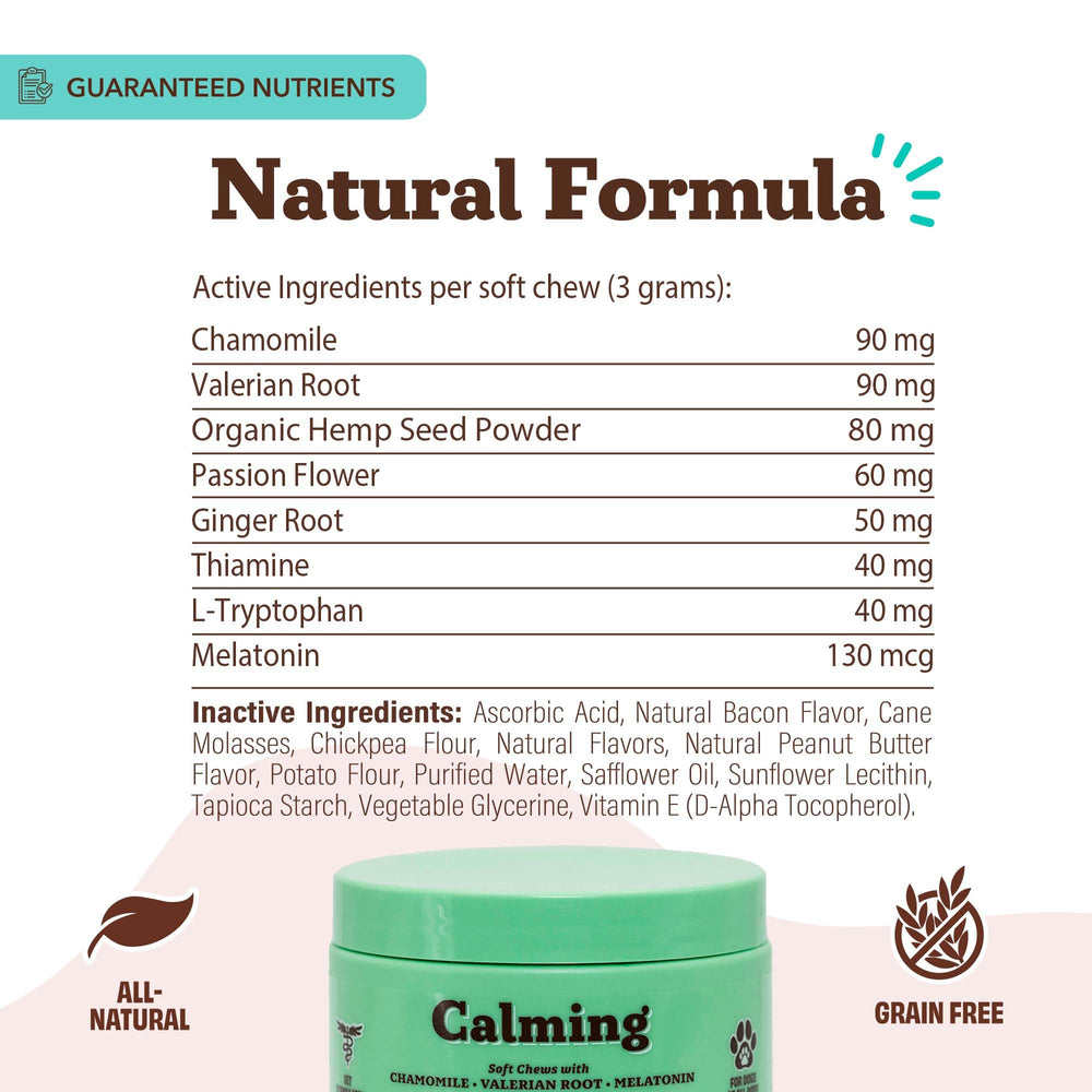 Natural Dog Company Calming Chews in new environment for smoother social outings.