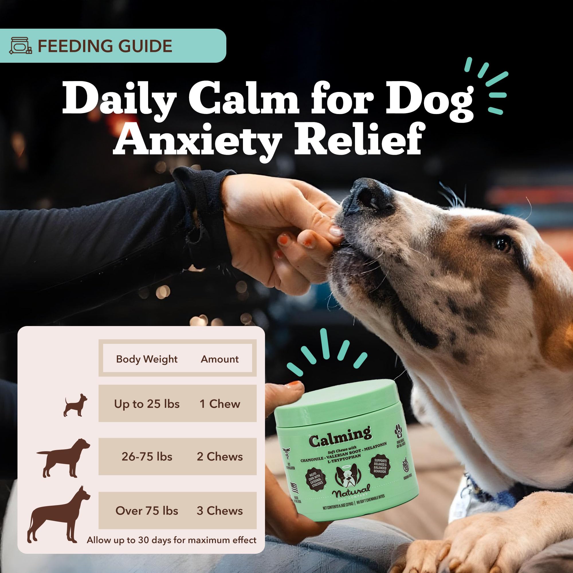 Natural Dog Company Calming Chews during thunderstorm scene for calm behavior.