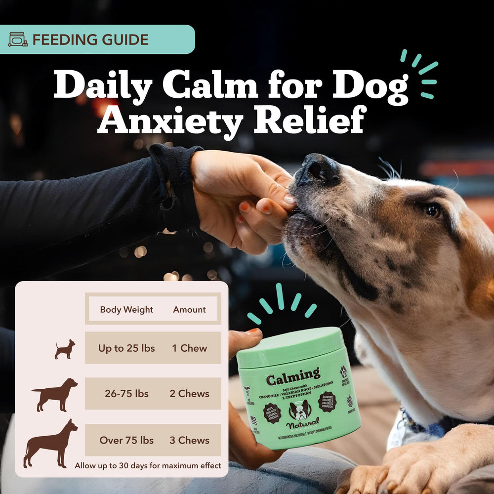 Natural Dog Company Calming Chews during thunderstorm scene for calm behavior.