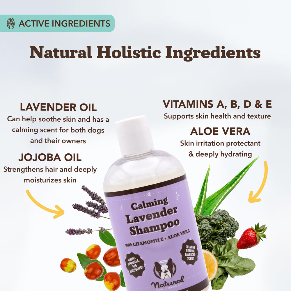 Natural Dog Company calming lavender shampoo application massage on a dog's coat for detangling