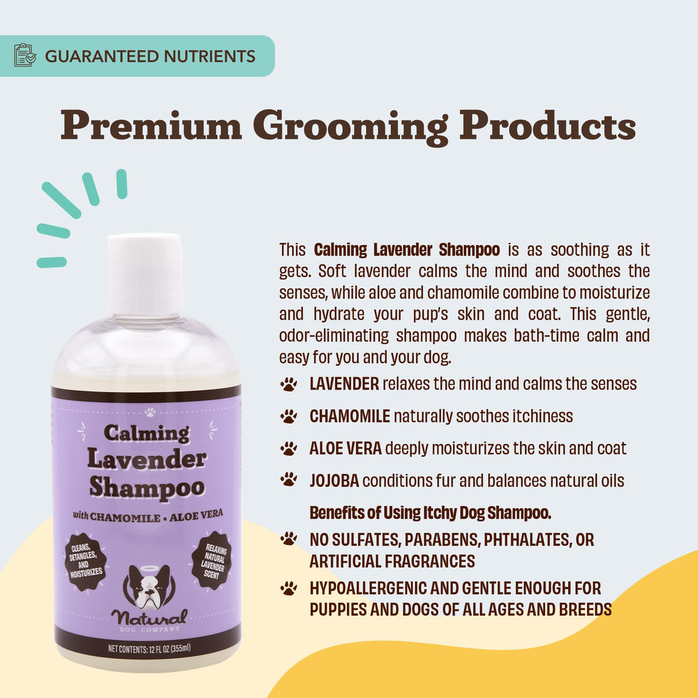 Natural Dog Company calming lavender shampoo during bath time for relaxing, spa-like routine