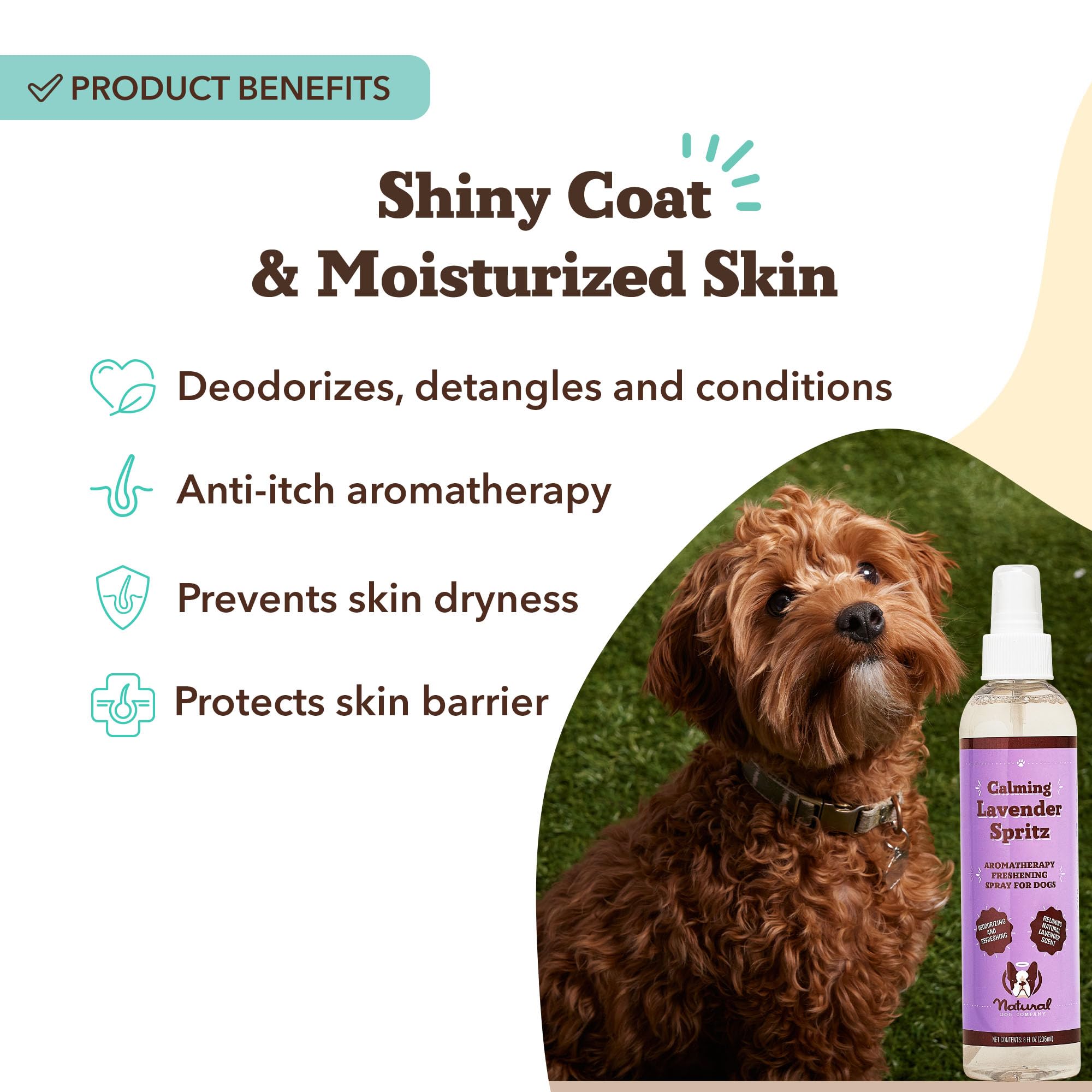 Natural Dog Company Calming Lavender Spritz spray in action freshens fur between baths.