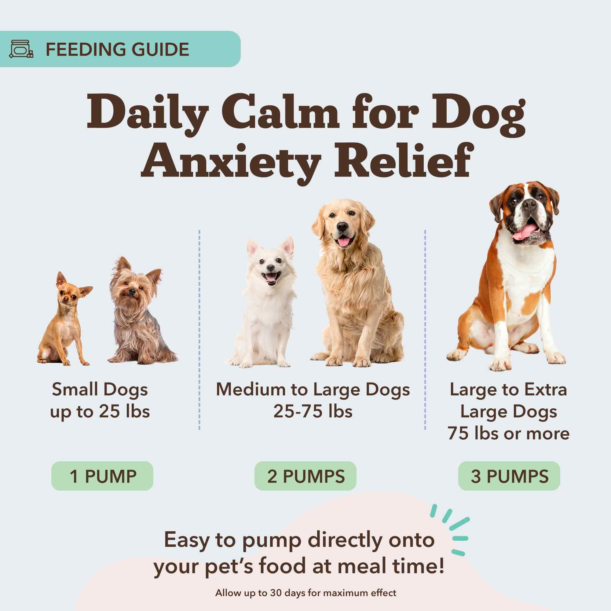 Natural Dog Company Calming Oil dog relaxed face during stressful events.