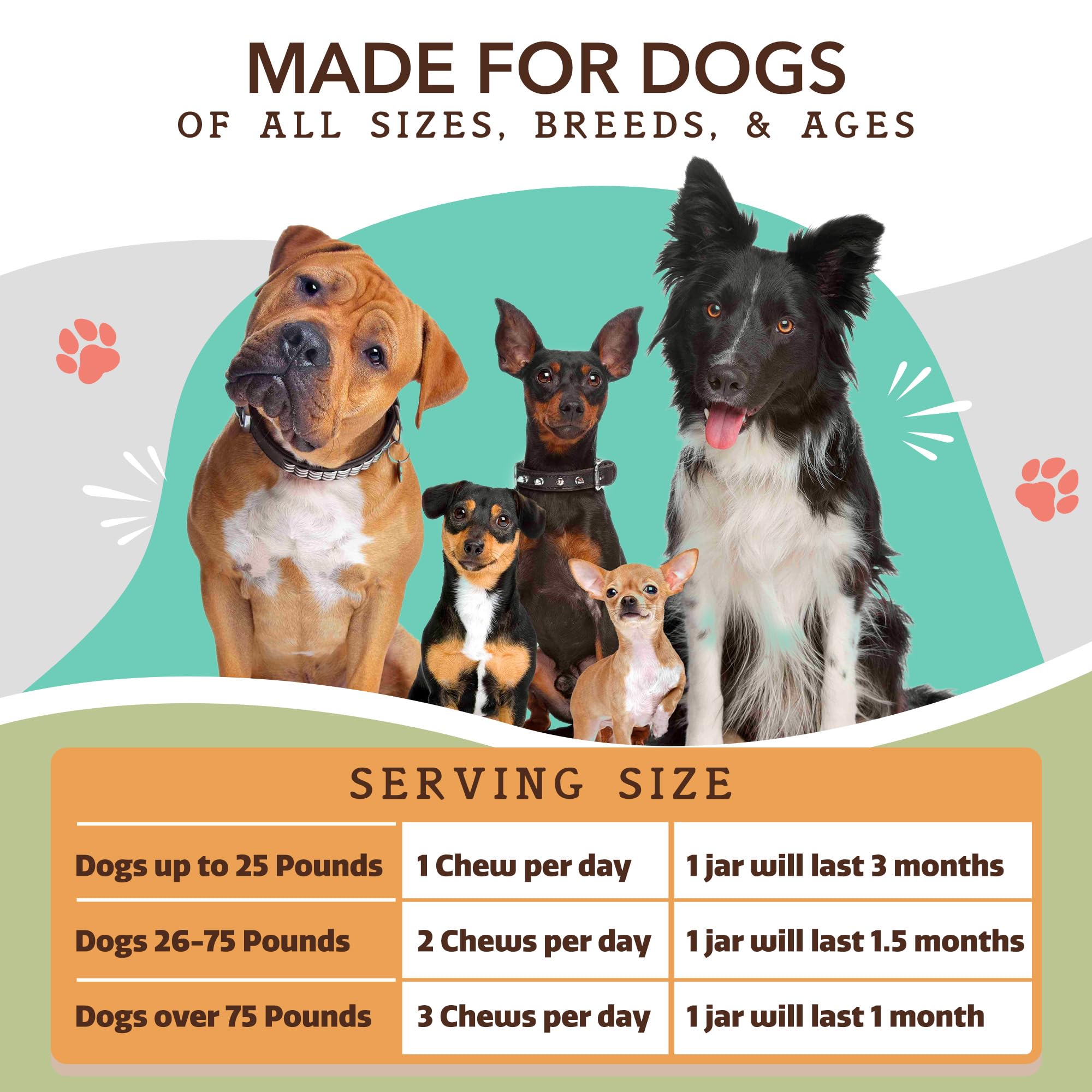 Natural Dog Company daily-use-bowl demonstrates easy serving for mobility support.