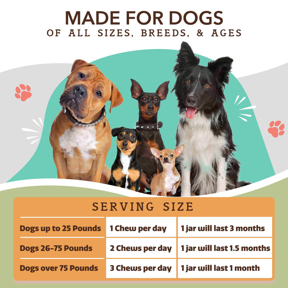 Natural Dog Company daily-use-bowl demonstrates easy serving for mobility support.