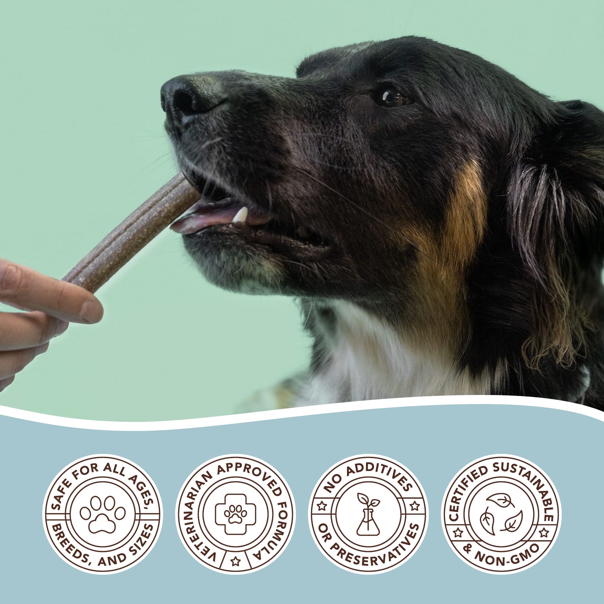 Natural Dog Company dental chews breath-freshness image suggests mint and parsley odor control