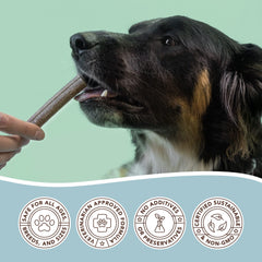 Natural Dog Company dental chews breath-freshness image suggests mint and parsley odor control