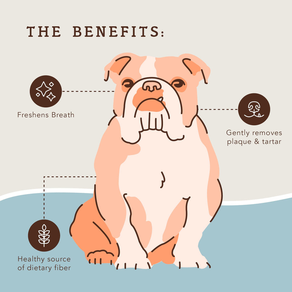 Natural Dog Company dental chews dog chewing action shows chewing to support oral health