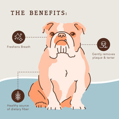 Natural Dog Company dental chews dog chewing action shows chewing to support oral health