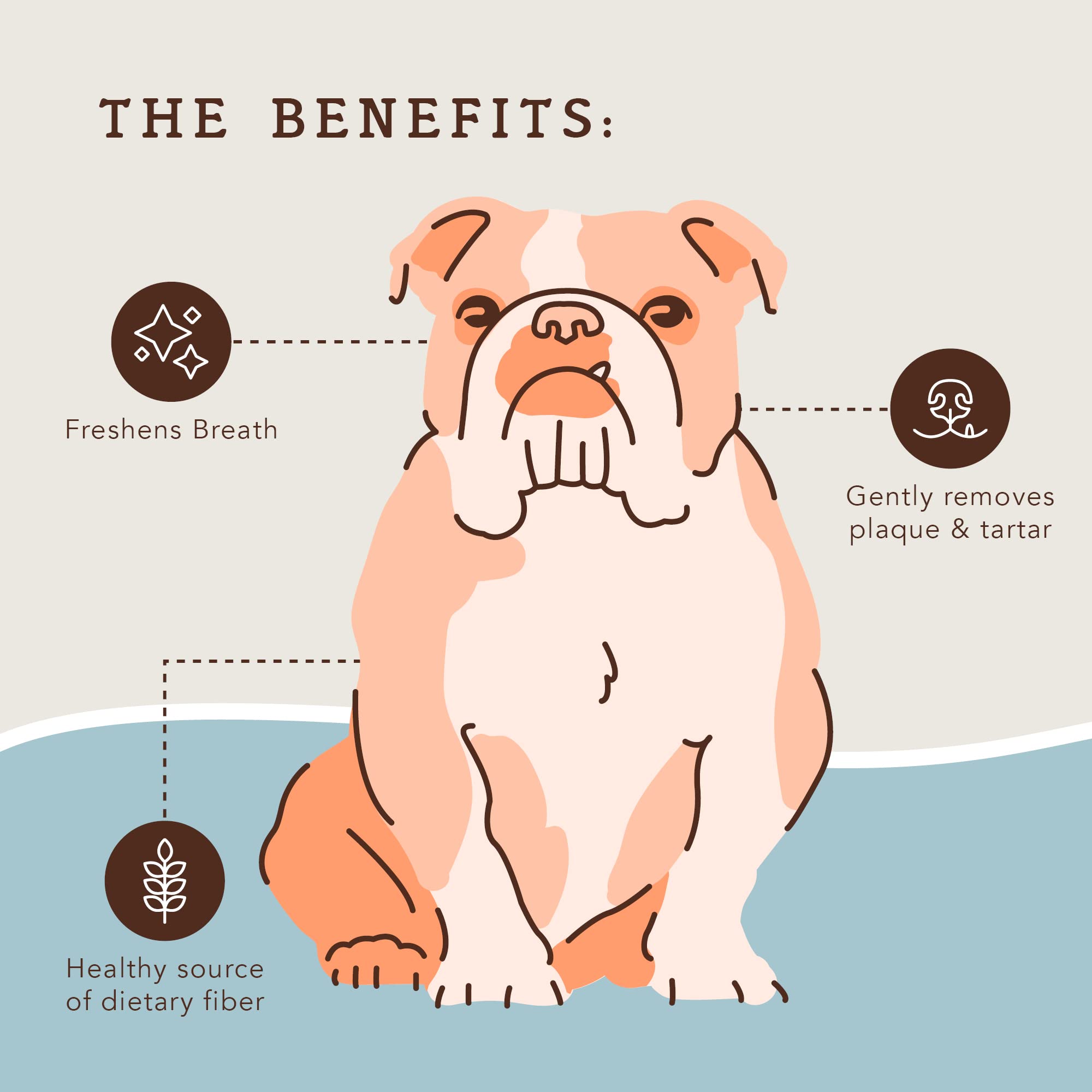 Natural Dog Company dental chews jar open for easy daily use