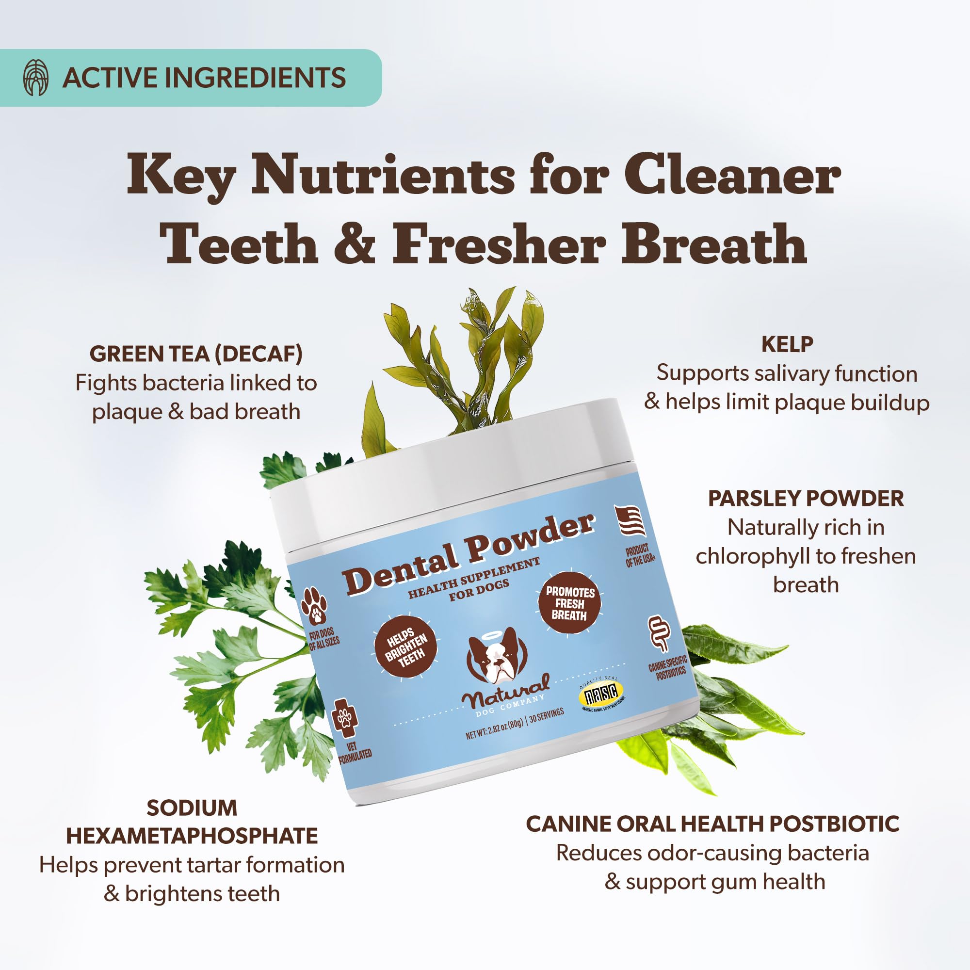 Natural Dog Company dental powder used for improving dog breath in close-up.