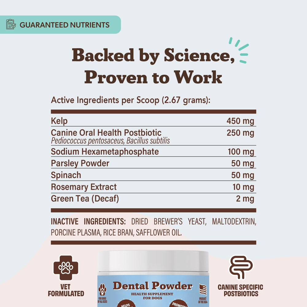Natural Dog Company dental powder with natural ingredients like parsley and green tea.