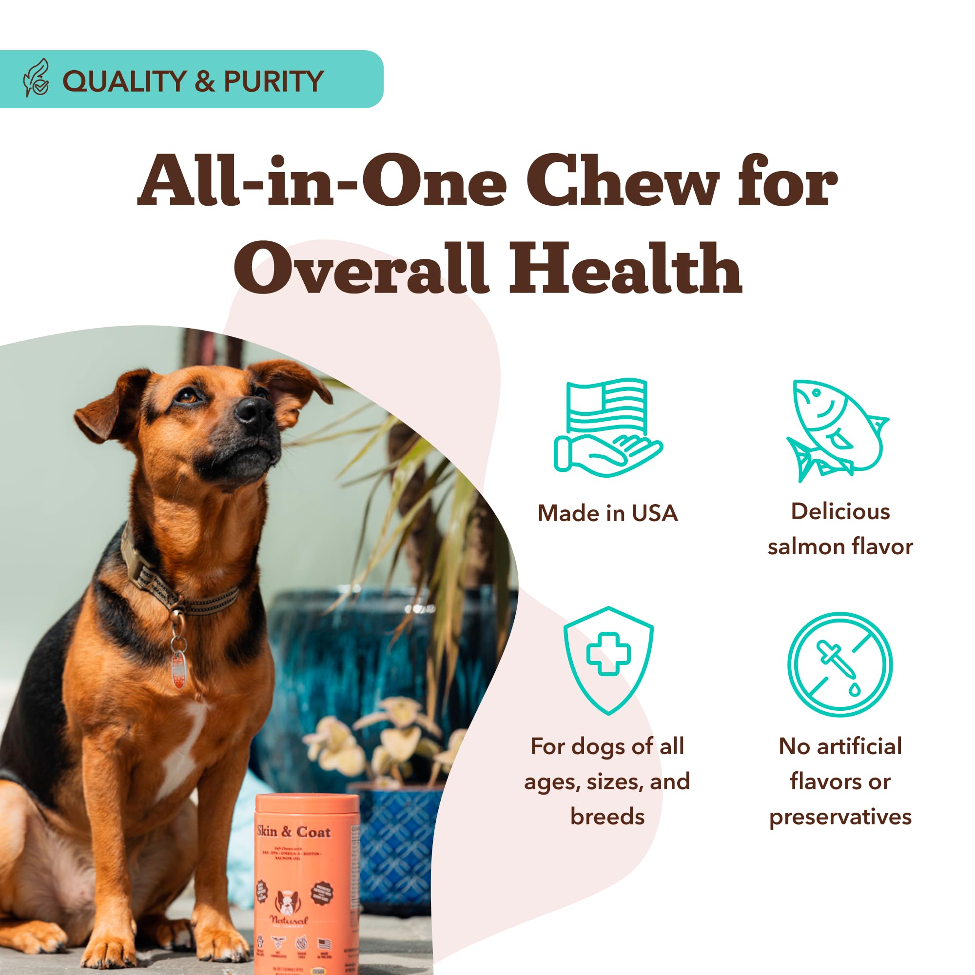 Natural Dog Company dog bowl with chews illustrates simple daily feeding for coat health