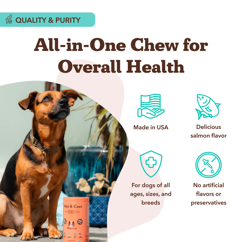 Natural Dog Company dog bowl with chews illustrates simple daily feeding for coat health