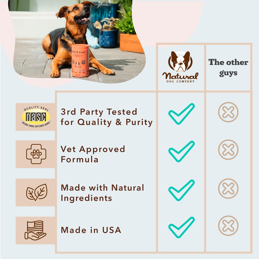 Natural Dog Company dog with shiny coat after use suggests coat improvement