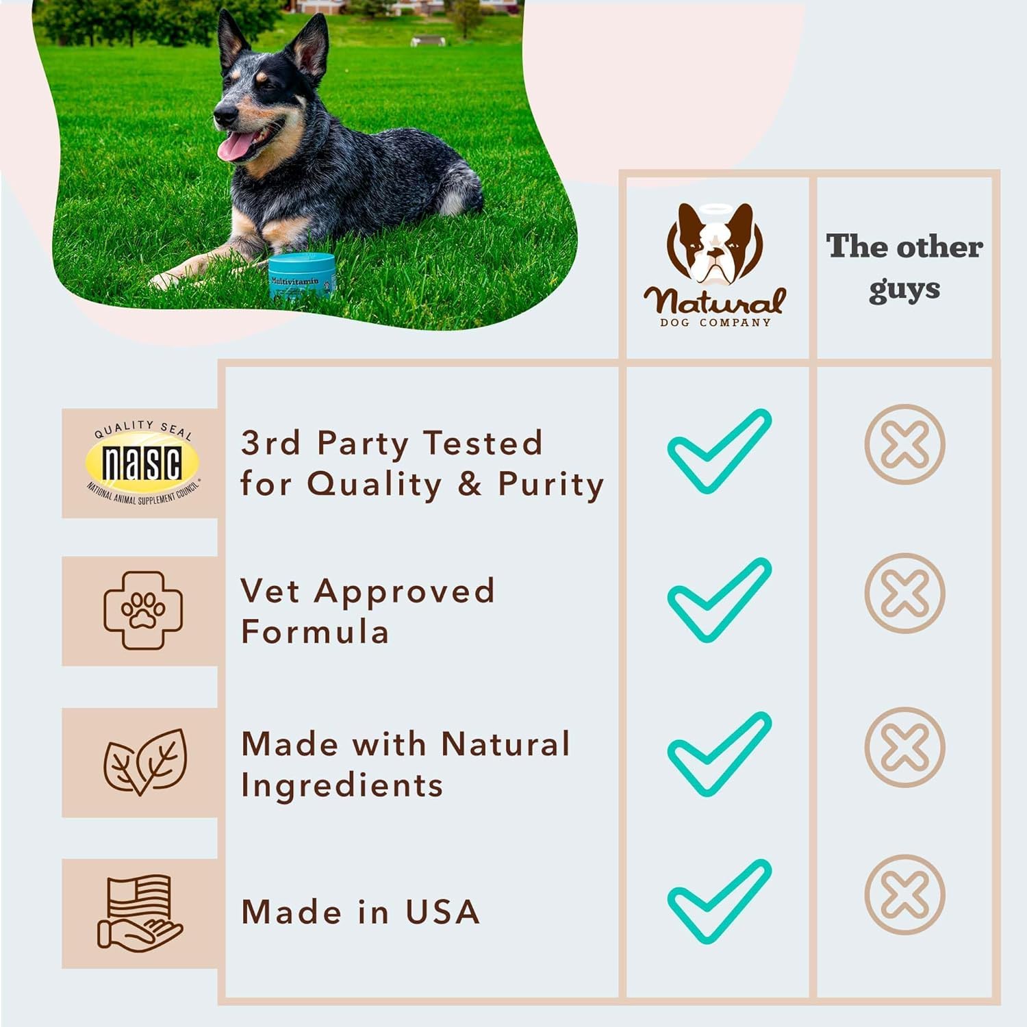 Natural Dog Company glossy-coat image suggesting healthy skin and shine.