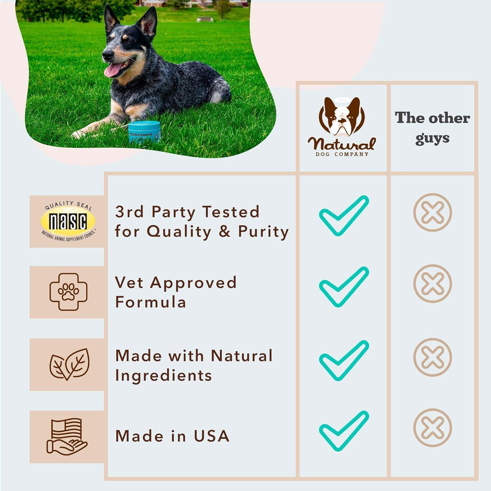 Natural Dog Company glossy-coat image suggesting healthy skin and shine.