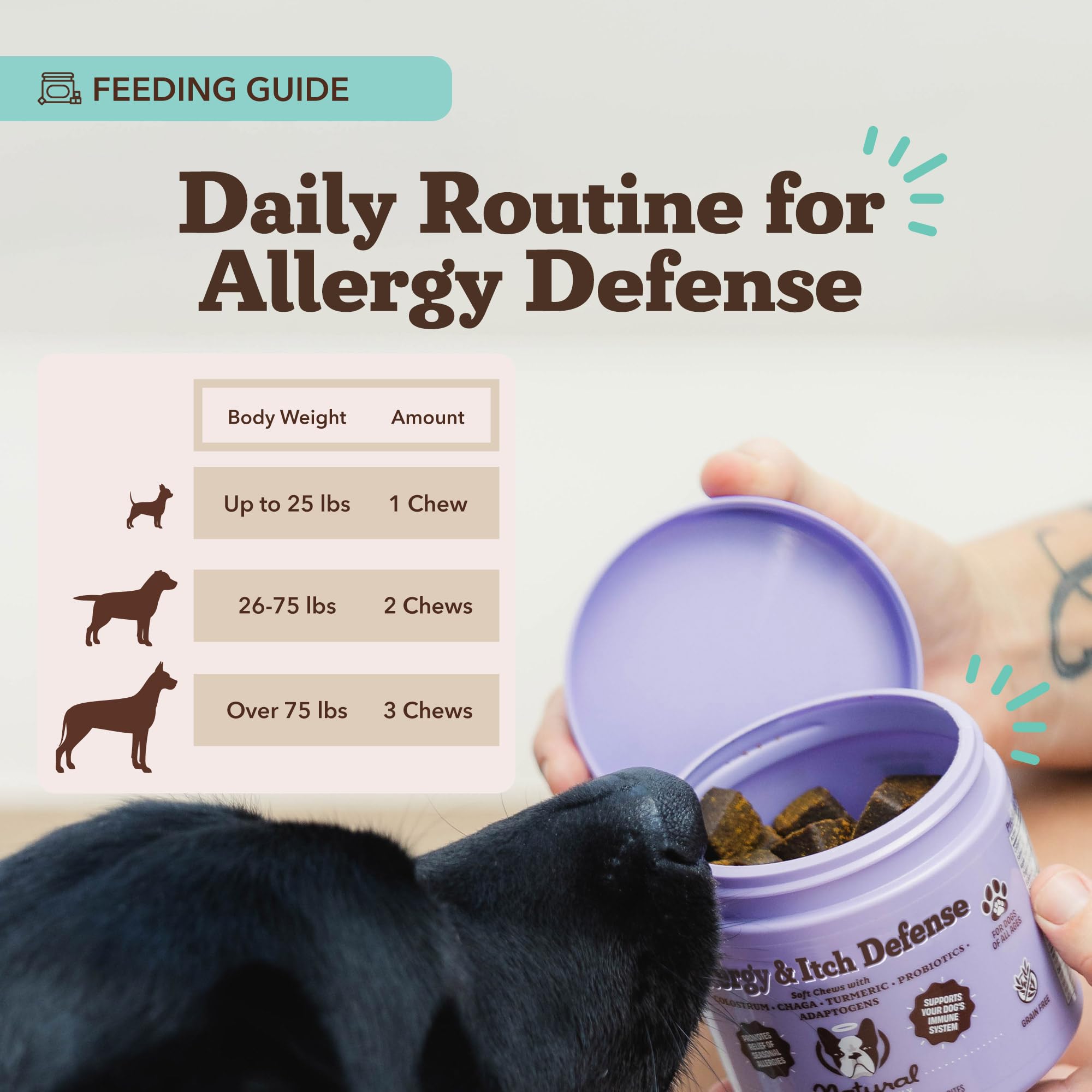 Natural Dog Company grain-free-dog-supplement supports sensitive-diet compatibility