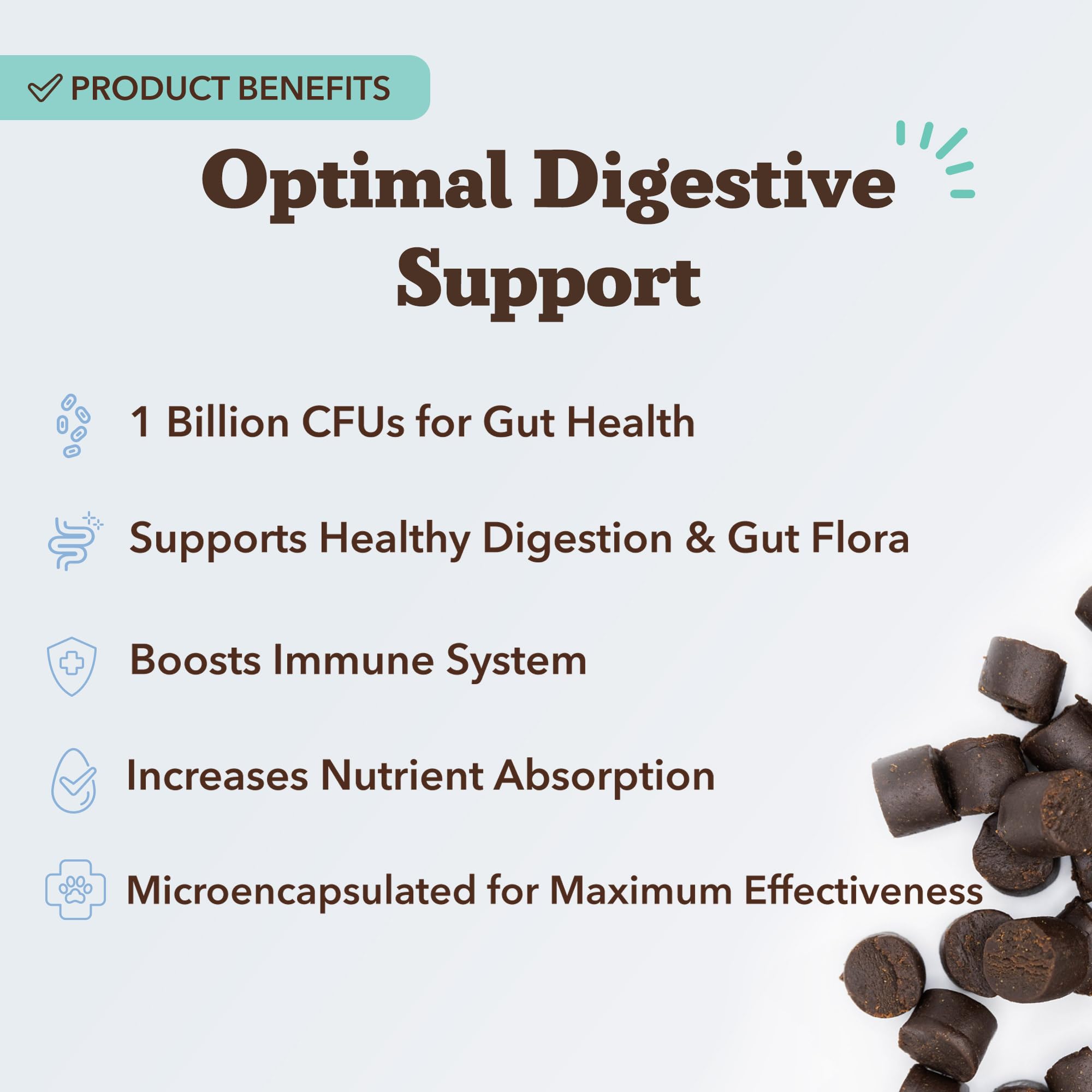 Natural Dog Company Gut Health Chews in a dog's mouth suggesting daily digestion support