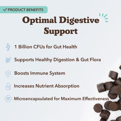 Natural Dog Company Gut Health Chews in a dog's mouth suggesting daily digestion support