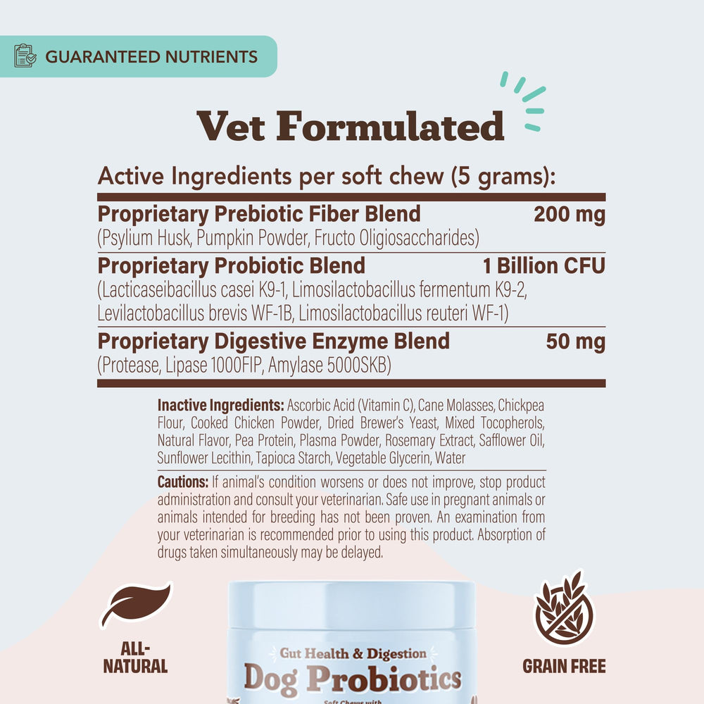 Natural Dog Company Gut Health Chews grain-free formula signals allergen-friendly digestion support