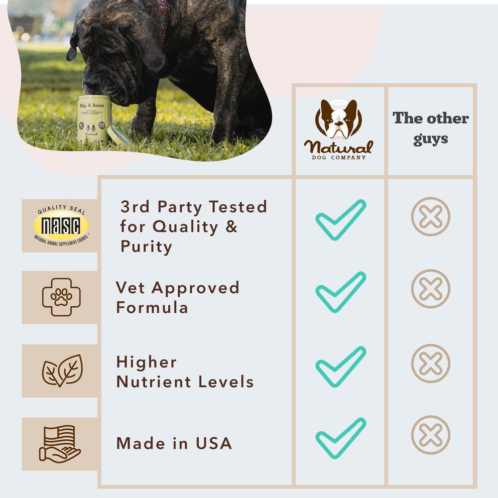 Natural Dog Company jar with chews and turmeric specks showcasing natural ingredients