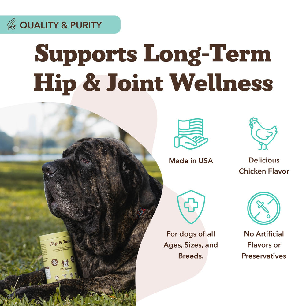 Natural Dog Company chews with omega-3 fish oil for overall wellness