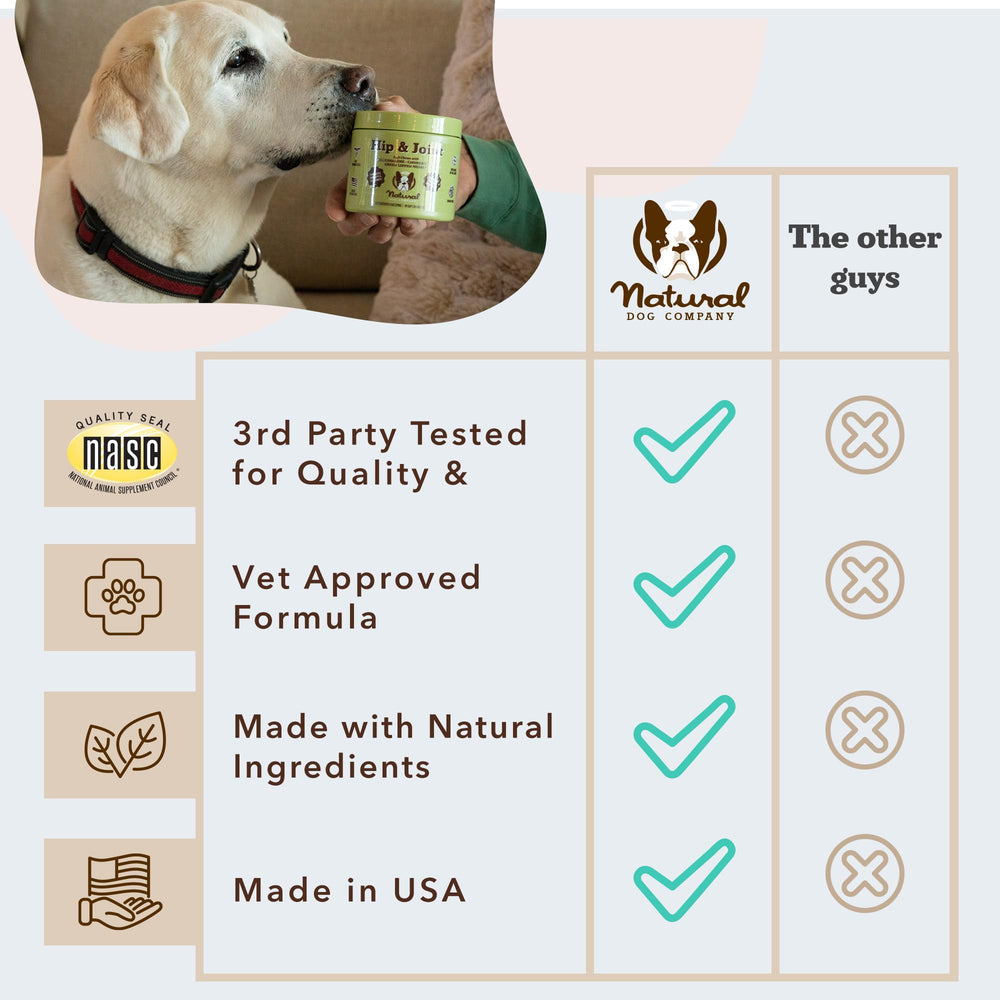 Natural Dog Company glucosamine-chondroitin MSM turmeric ingredients support joint comfort.