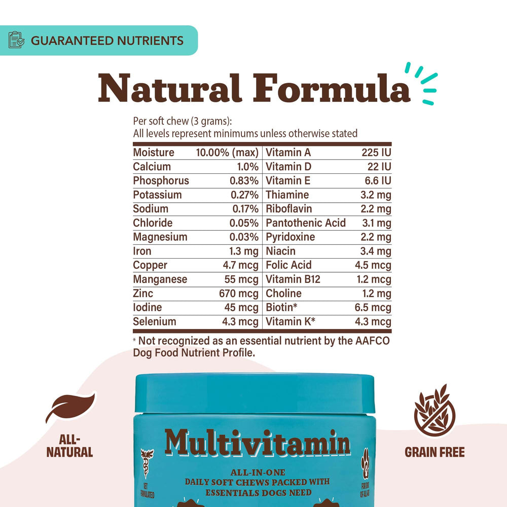 Natural Dog Company immune-support chews close-up with vibrant packaging.