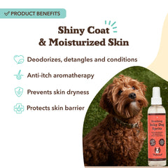 Applying Natural Dog Company Itchy Dog Spritz mist on coat for itch relief