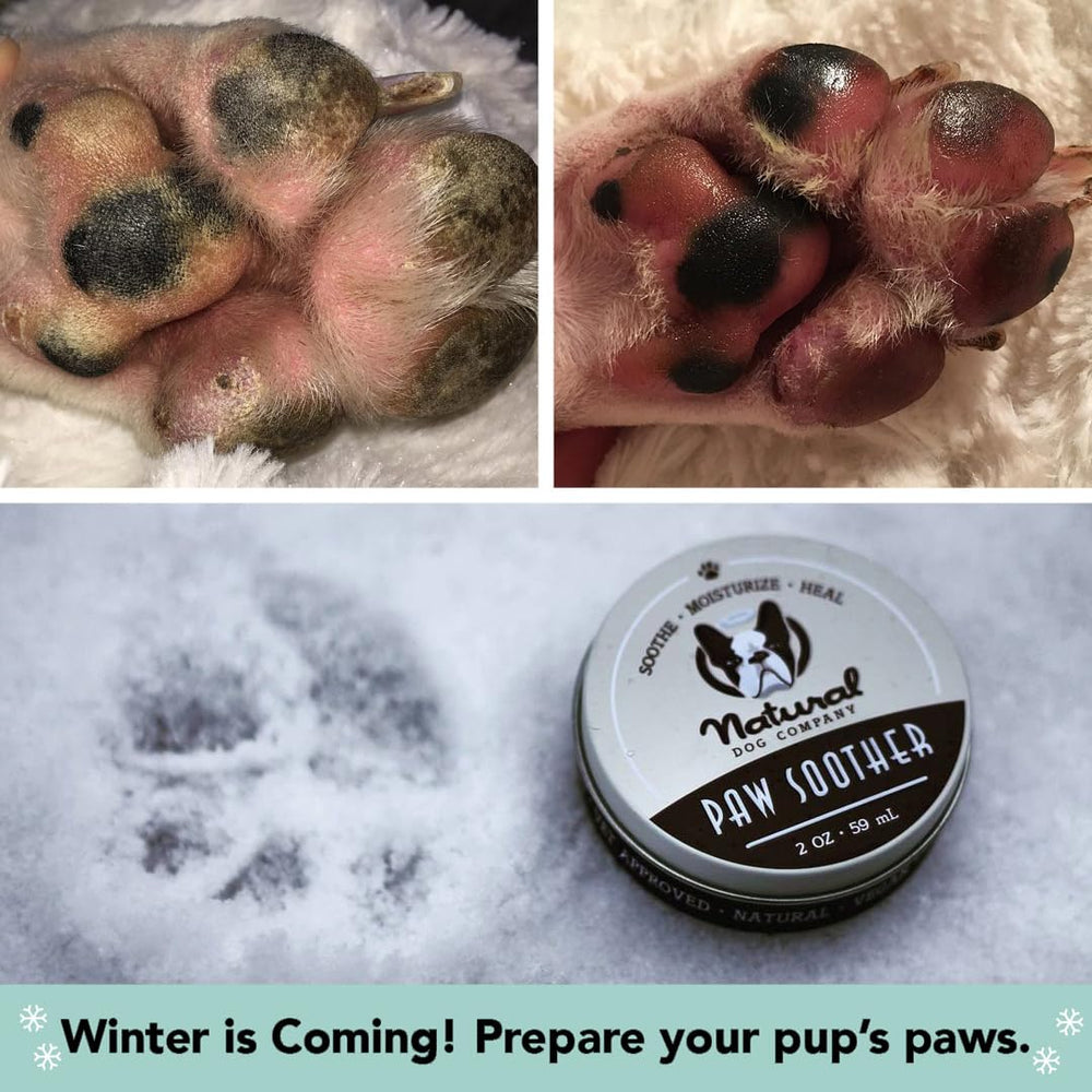 Natural Dog Company lick-safe balm shown during play on paw pads