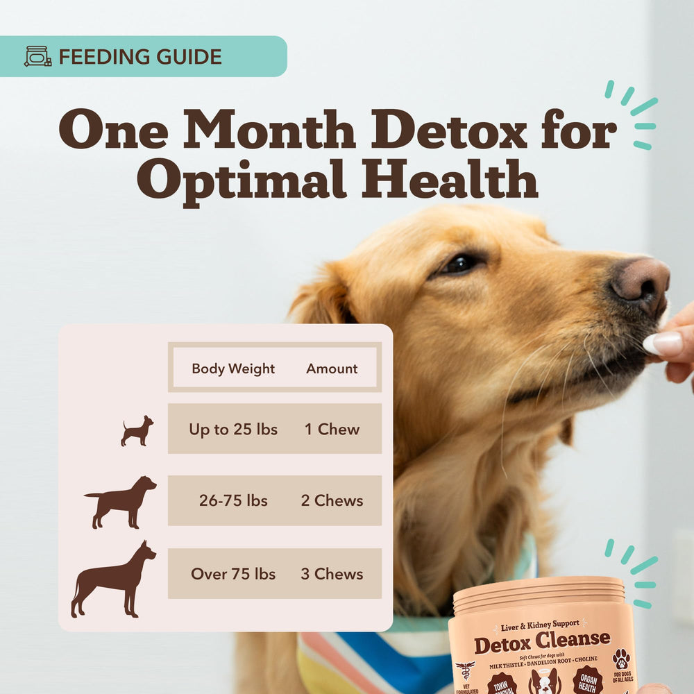 Natural Dog Company liver-kidney bottle label conveying trusted, natural ingredients