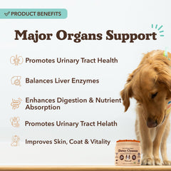 Natural Dog Company liver-kidney dog eating chews highlighting daily supplement
