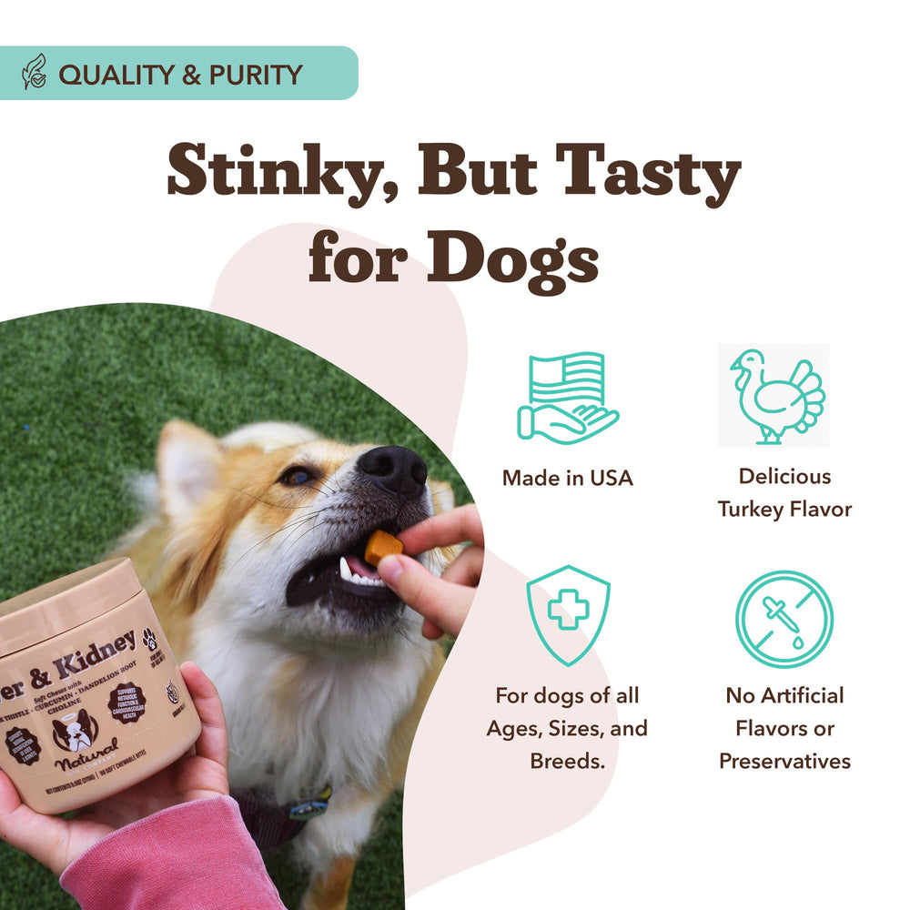 Natural Dog Company liver-kidney dog resting after a treat indicating vitality
