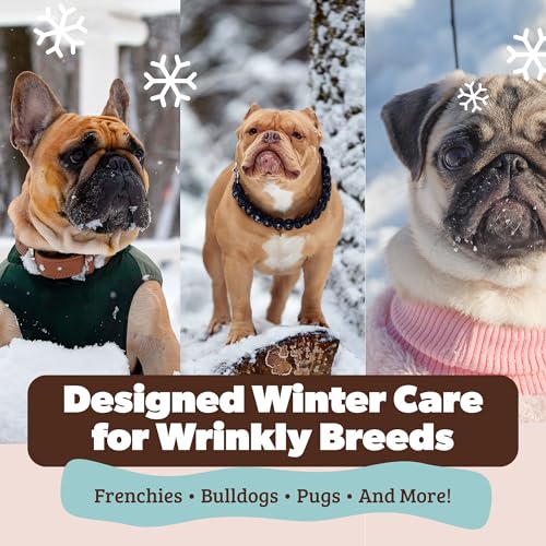 Natural Dog Company made-in-usa label signals quality and safe production.