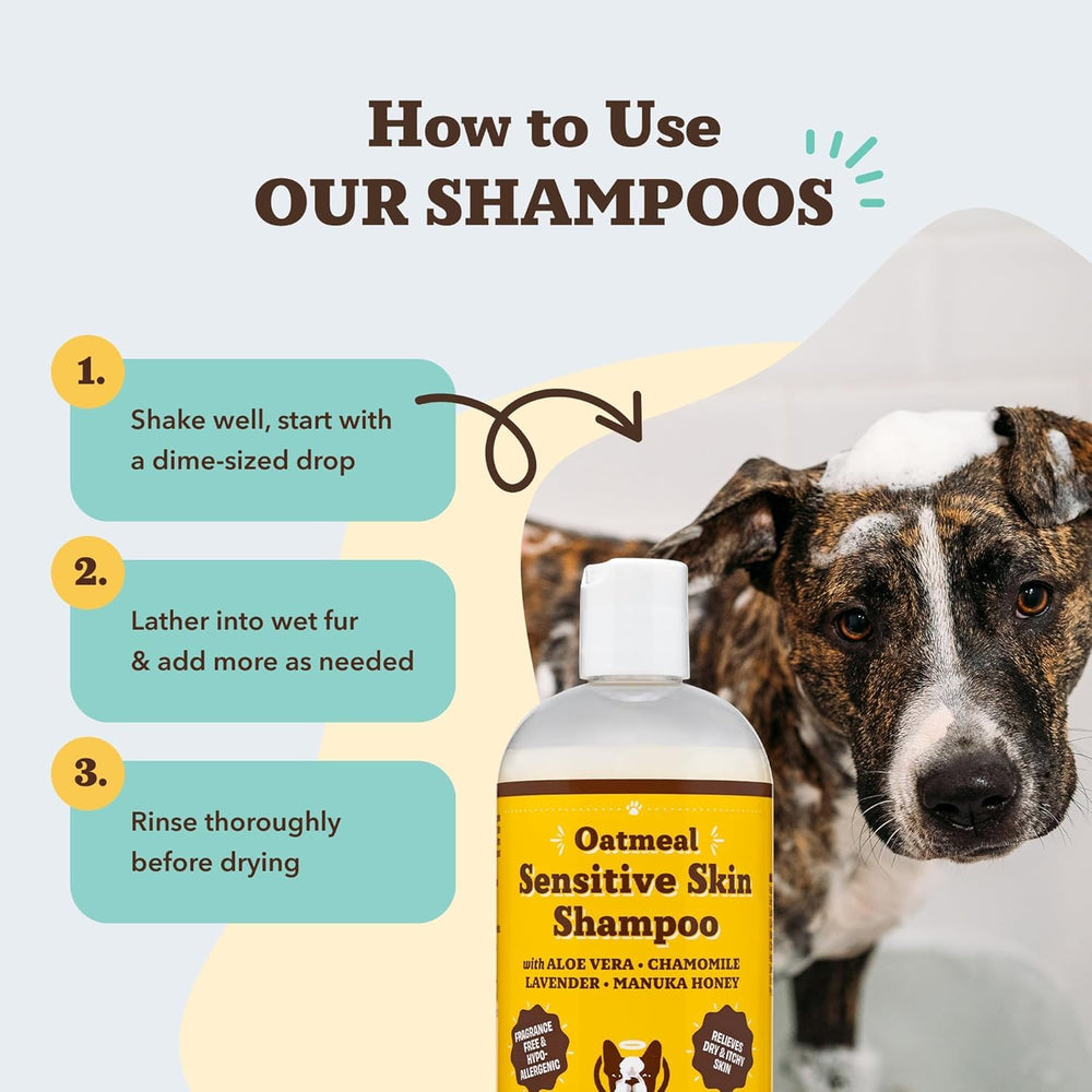 Natural Dog Company Oatmeal Shampoo application on coat with calming chamomile.