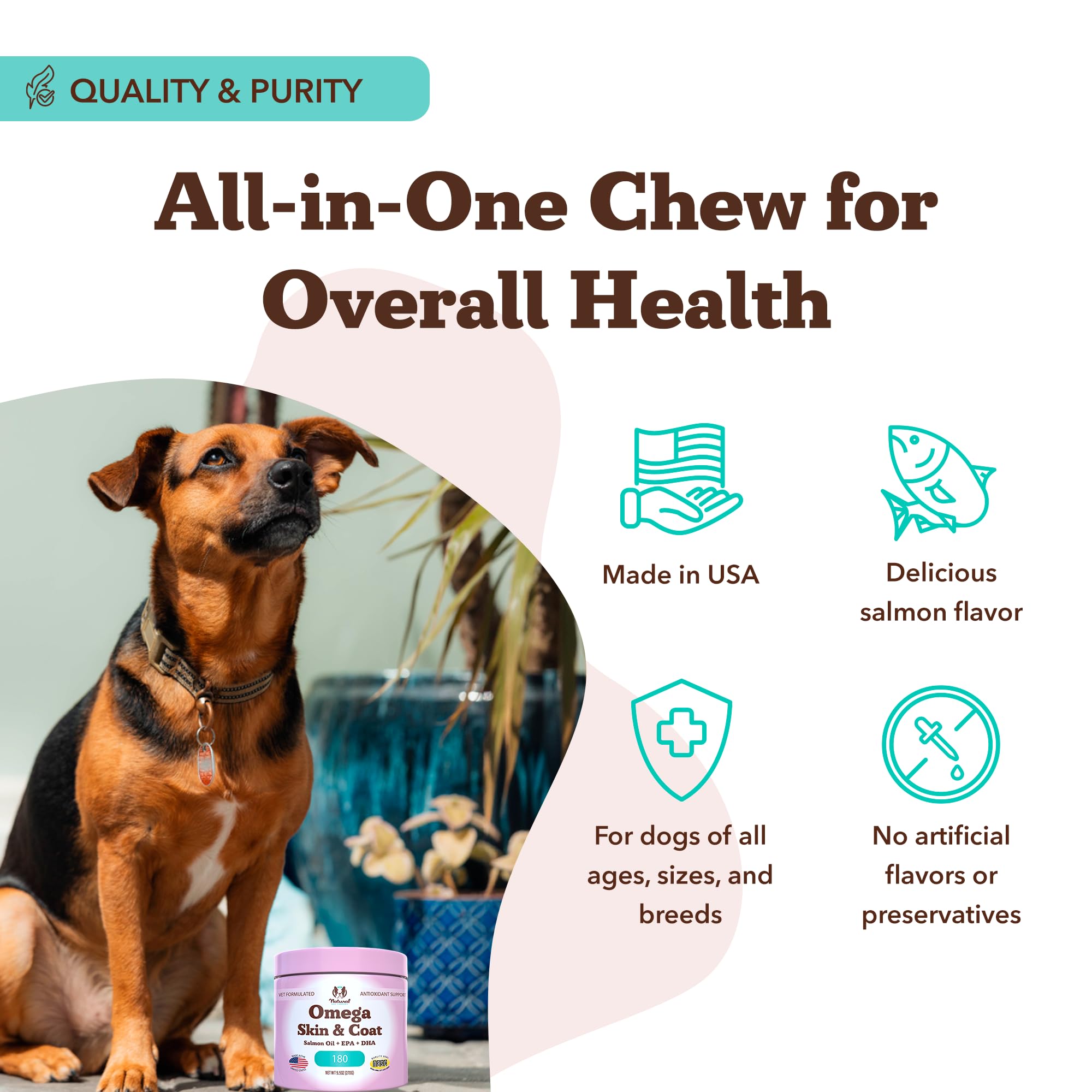 Natural Dog Company Omega Chews dog with glossy coat after use.