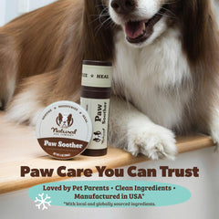 Natural Dog Company paw balm being applied to hardened paw pads to soften texture
