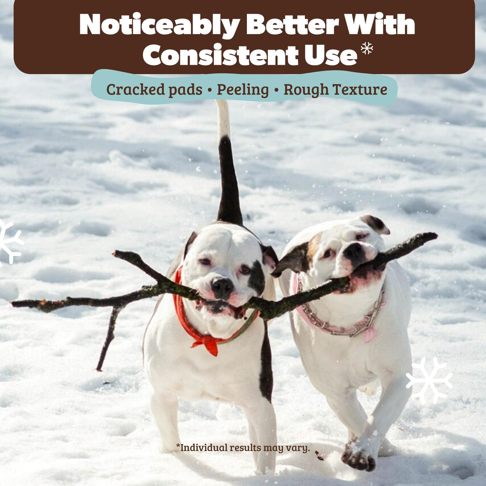 Natural Dog Company Paw Soother: hidratación invernal para patas expuestas al frío.