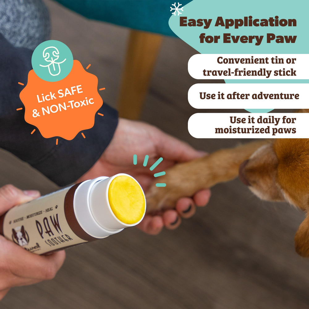 Natural Dog Company paw soother stick application close-up showing smooth glide
