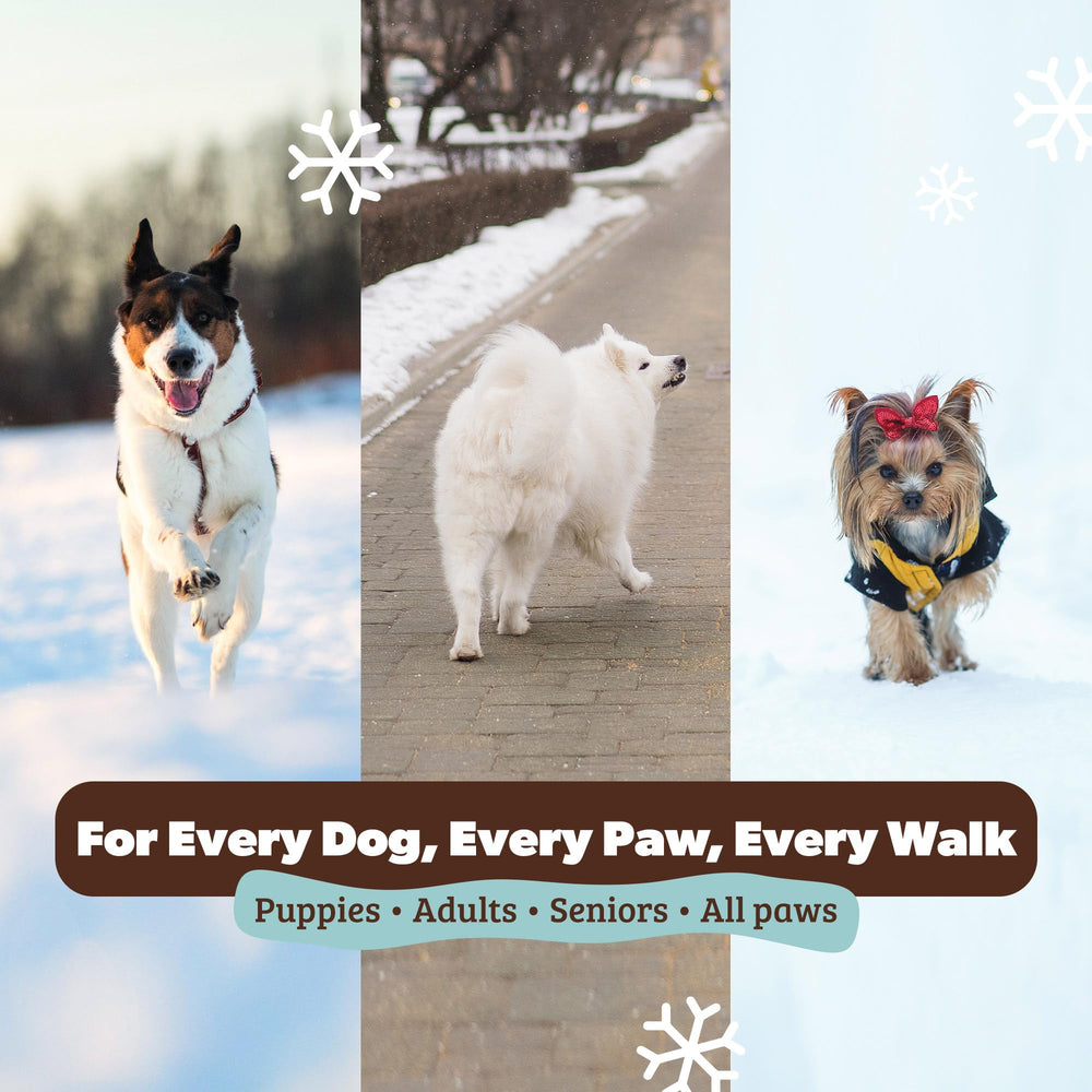 Natural Dog Company paw soother twist design for on-the-go care