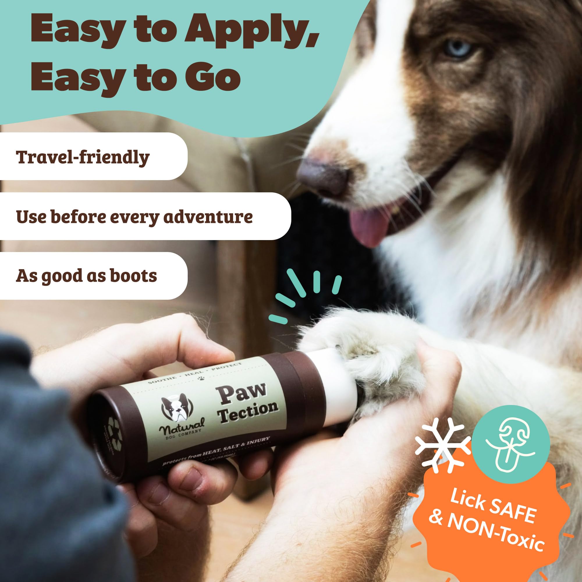 Natural Dog Company PawTection Balm application on paw before walk for year-round protection.