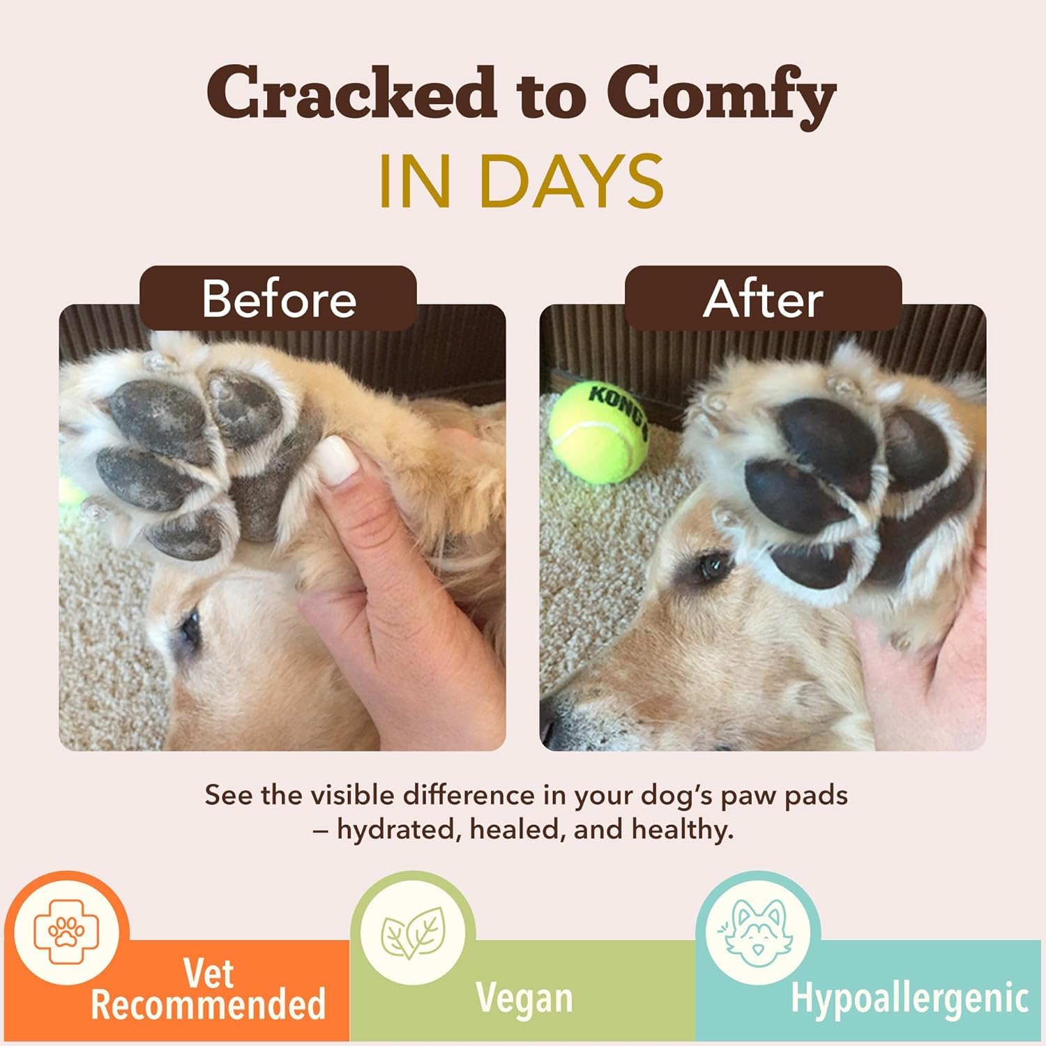 Pawtection Balm application by Natural Dog Company before outdoor activities