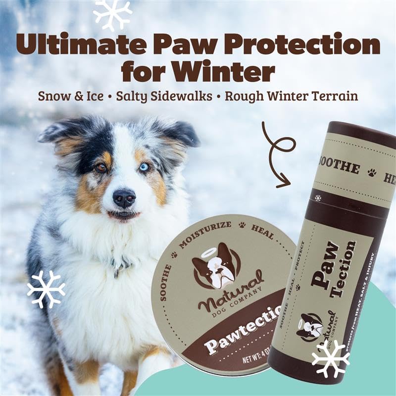 Natural Dog Company Pawtection travel-size balm stick, convenient paw care on the go.