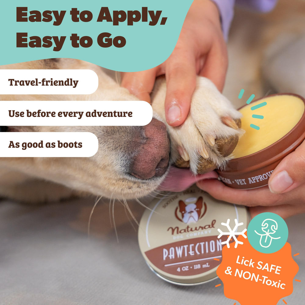 Natural Dog Company Pawtection balm stick beside paw-protecting booties.